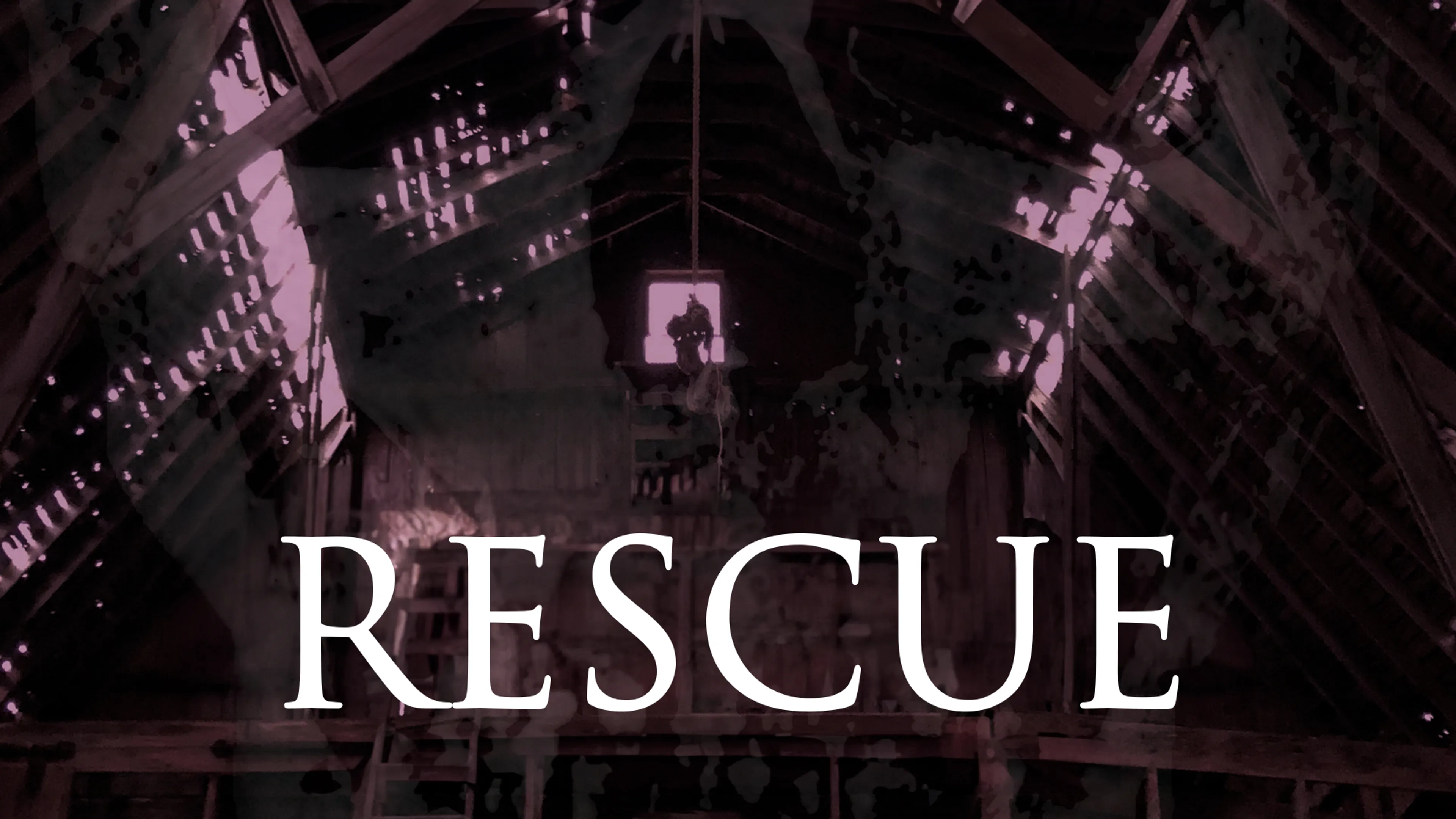 Rescue poster